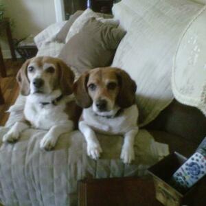 Fundraising Page: Patricia Marshall